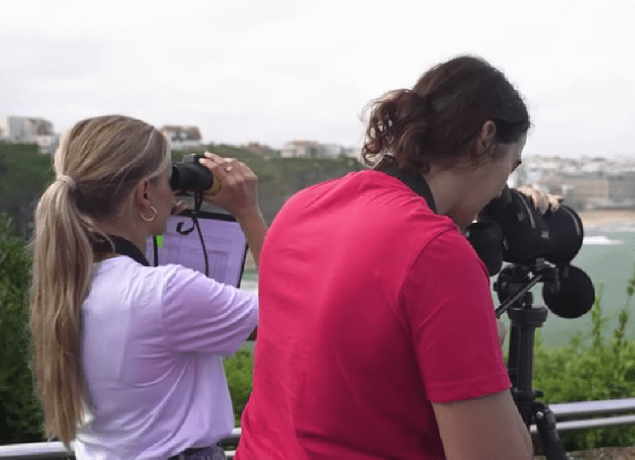 Suivis ornithologiques